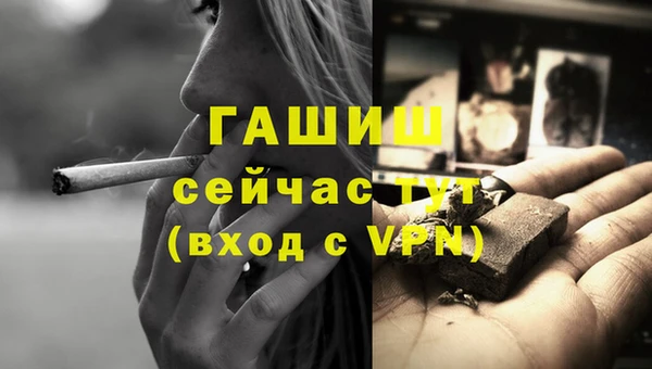 крисы Абаза