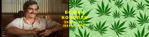 крисы Абаза