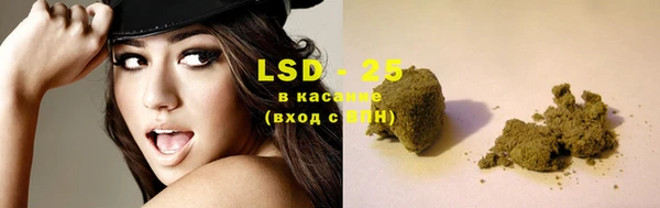 крисы Абаза