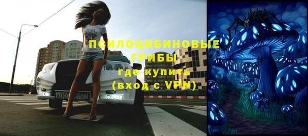 крисы Абаза