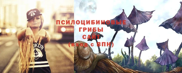 спайс Абдулино