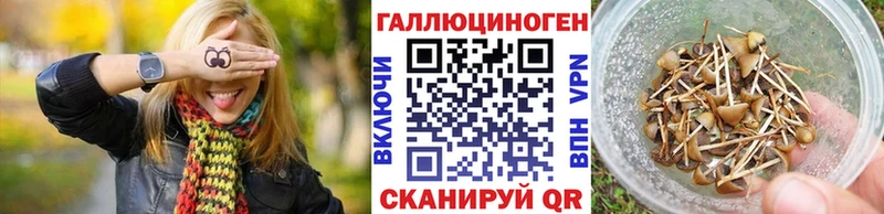 Псилоцибиновые грибы ЛСД  Ядрин 